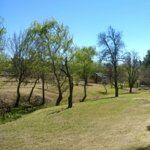 Parada Obrigatoria Restaurante